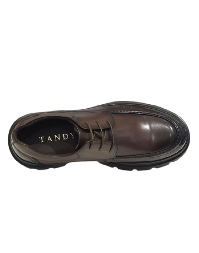 탠디 [갤러리아] 탠디 남성 더비 정장화 (4CM) Q26023 BROWN 착용컷