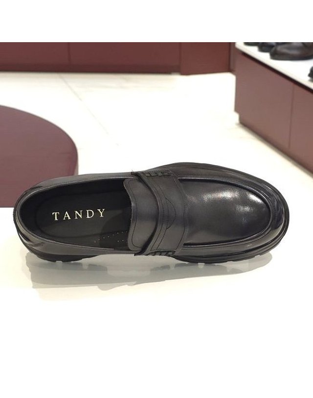 탠디 [갤러리아] 탠디 남성 로퍼 (3.5CM) 516763 C-1411 착용컷