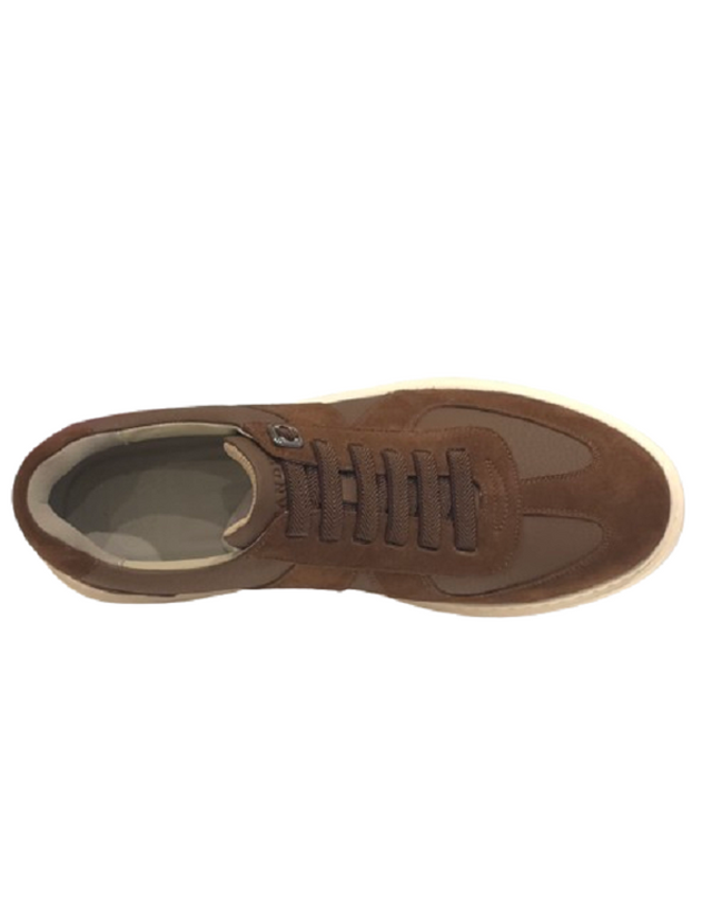 탠디 [갤러리아] 탠디 남성 스니커즈 (3.5CM) Q26014 BROWN 착용컷