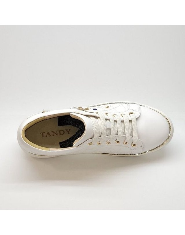 탠디 [갤러리아] 탠디 여성 스니커즈 (4CM) G21412 WHITE 착용컷