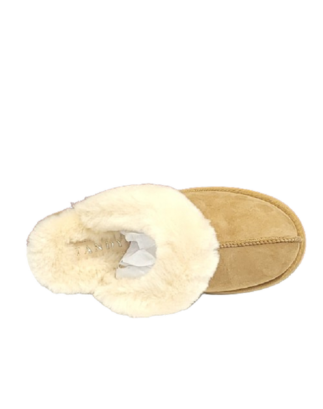 탠디 [갤러리아] 탠디 여성 퍼 슬리퍼 (5CM) G24427 BEIGE 착용컷