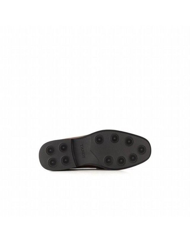 탠디 [갤러리아] 남성 페니로퍼 (굽 3CM) H24001V_BROWN 착용컷