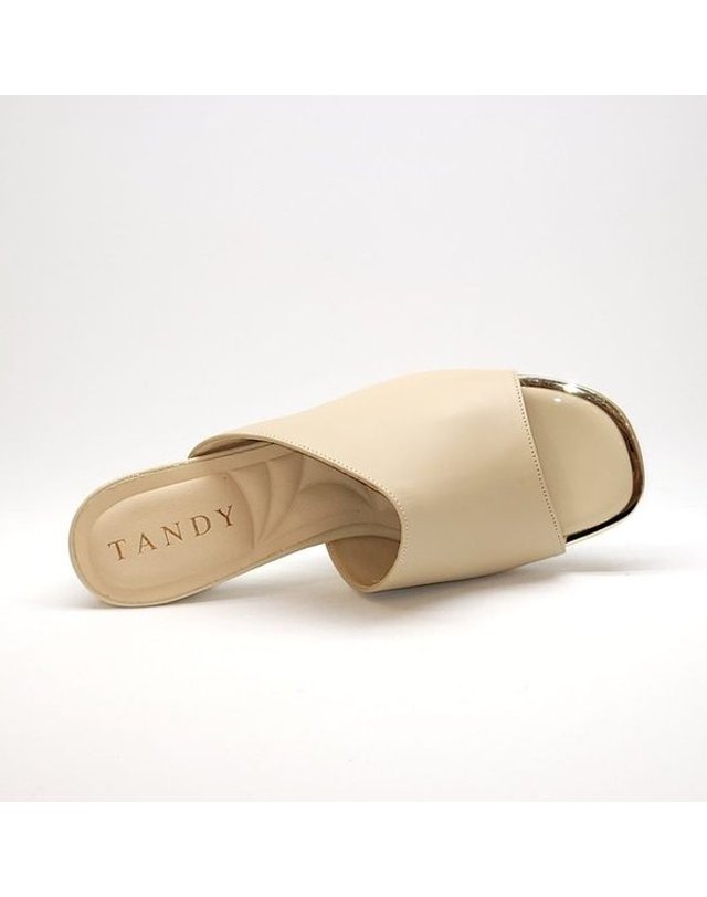 탠디 [갤러리아] 탠디 여성 미들힐 슬리퍼 (6CM) 721077 C-1101 착용컷
