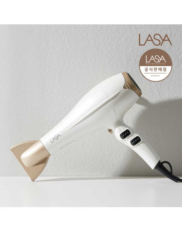2200W 고출력 강력 전문가용 헤어 드라이기 LS2201A