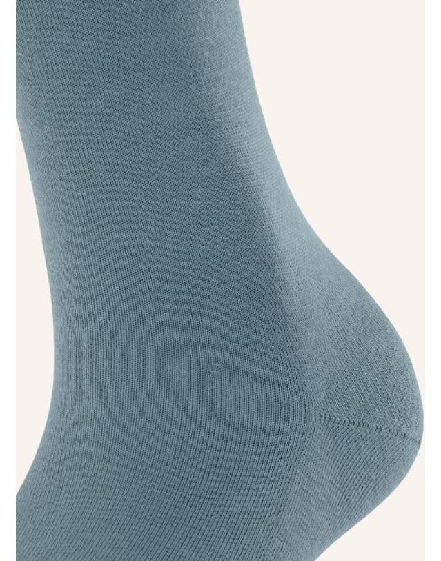 팔케 [해외직구] 팔케 니 하이 stockings SOFTMERINO with 메리노 울 100125541714002 TP580128395 착용컷