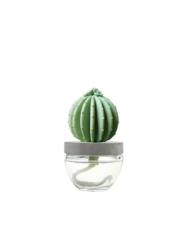 아로마코 [갤러리아] 아로마코 선인장 석고디퓨저 100ml_플라워미스트 착용컷