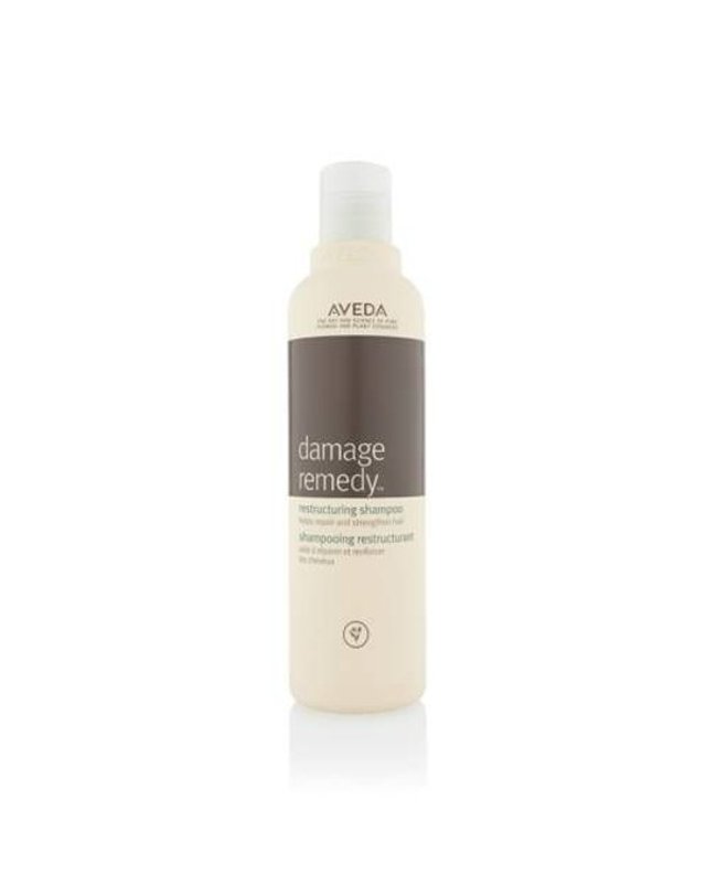 아베다 [갤러리아] [손상모케어] 데미지 레미디™ 샴푸 250ml 착용컷