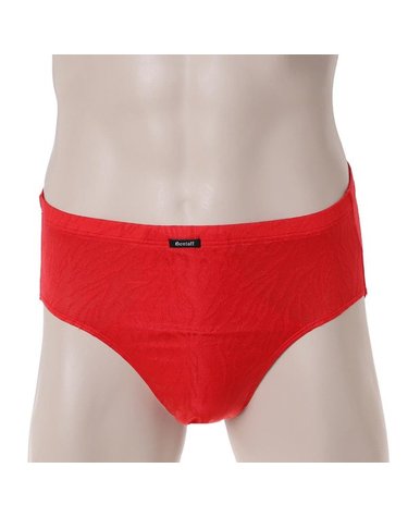 [갤러리아] [비비안]호피 자가드프린트 남성 삼각팬티 PT2100G/RED