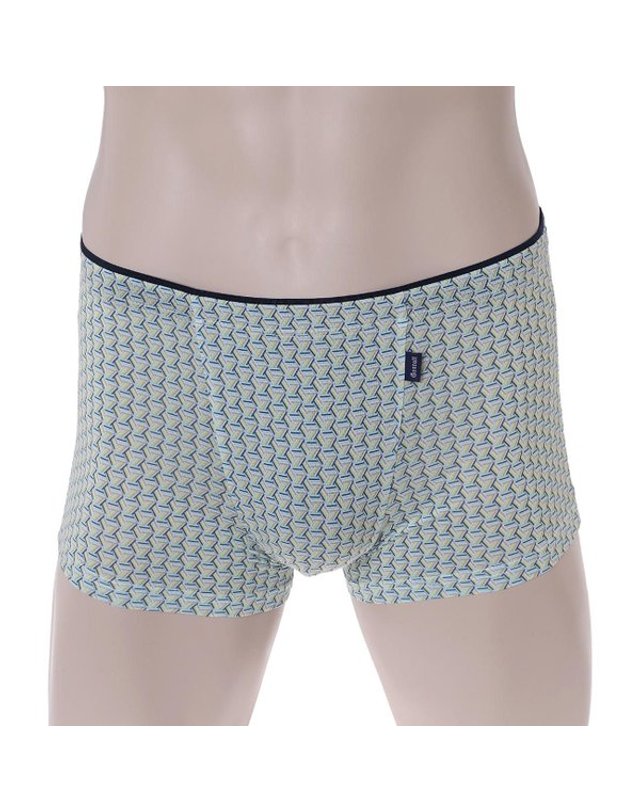 비비안 [갤러리아] [비비안]메쉬프린트 남성 드로즈팬티 PT2105D/2C 착용컷