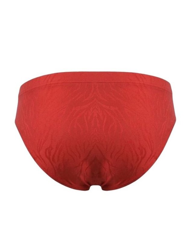비비안 [갤러리아] [비비안]지브라패턴의 남성 삼각팬티 PT2100G RED 착용컷