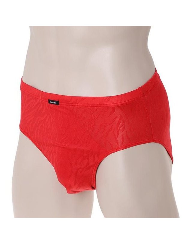 비비안 [갤러리아] [비비안]호피 자가드프린트 남성 삼각팬티 PT2100G/RED 착용컷
