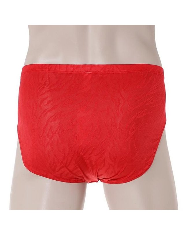 비비안 [갤러리아] [비비안]호피 자가드프린트 남성 삼각팬티 PT2100G/RED 착용컷