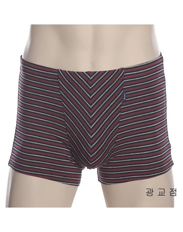 [갤러리아] 모달 스판 스트라이프 남성 드로즈 팬티(PT1903D)WN
