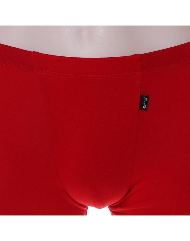 비비안 [갤러리아] [비비안]베이직 모달소재 남성 드로즈팬티 PT3914D/RED 착용컷