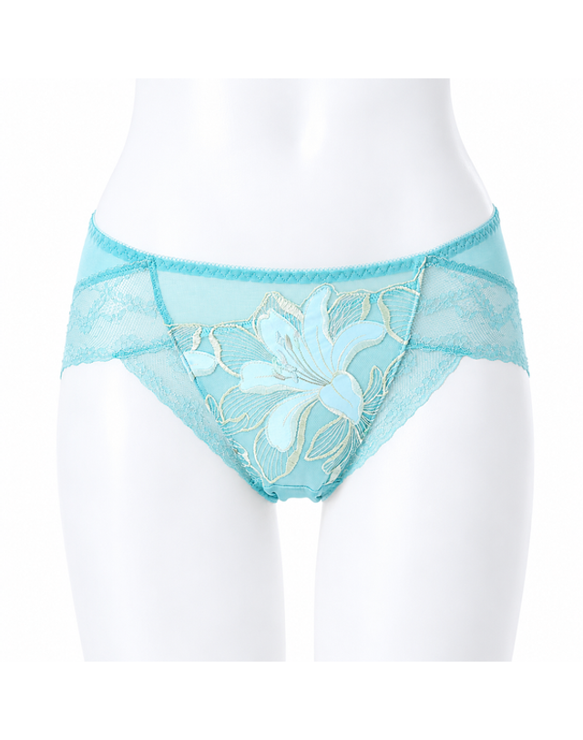 와코루 [갤러리아] 와코루]살루트 DBR0472 백레이스팬티 [DPT0472A/CR] 착용컷
