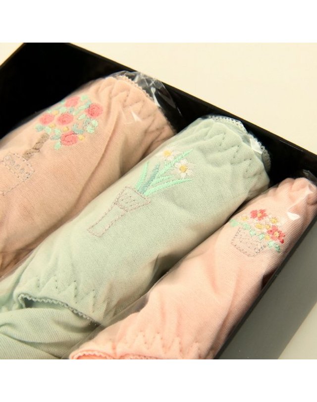 비너스 [갤러리아] [여]편안하고 위생적인 순면 데일리 컬러풀 3매입 삼각팬티 (VPT6948) 착용컷