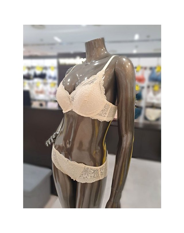 원더브라 [갤러리아] 딥그레이 퍼팩트 소프트 노와이어 브라,팬티SET(A~C컵) WBWBR3K04T,WBWPT 착용컷