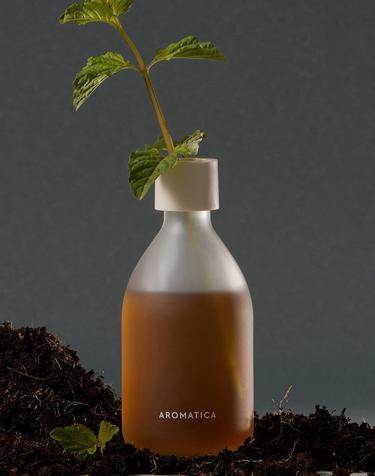 [집들이선물/식물유래향] 메디테이팅 디퓨저 랍다넘&패츌리 100ml