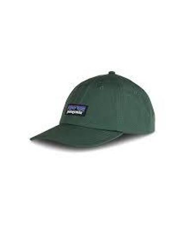 [명품] 26FW 파타고니아 모자 38296 CNGR CANOPY GREEN DOM