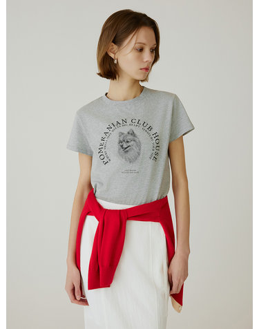 SITP5265 포메라니안 반팔 티셔츠_Melange gray