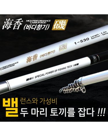 SFC 해향기 1호 530 갯바위 방파제 바다 릴 낚시대