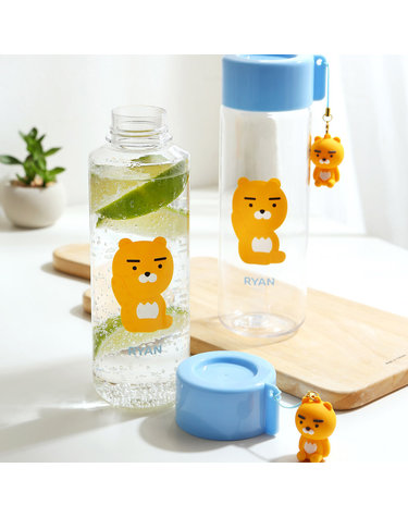 카카오프렌즈 피규어 라이언 워터보틀 물통 물병