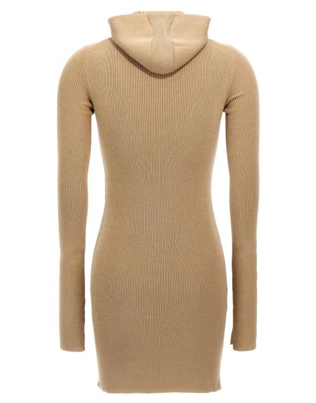 펜디 [해외직구] 24FW 펜디 로고 후드 드레스 FZDC60ASJKF1PNO Beige 착용컷