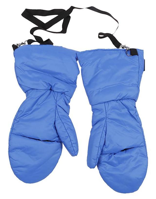 바콘 [해외직구] 22FW 베이컨 장갑 LITTLEJOY SUPERWALT6032JKLEIN Blue 착용컷