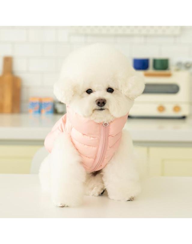 퍼피아 하트빔 경량패딩 착용컷
