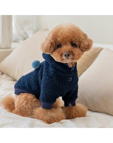지네브라 후드