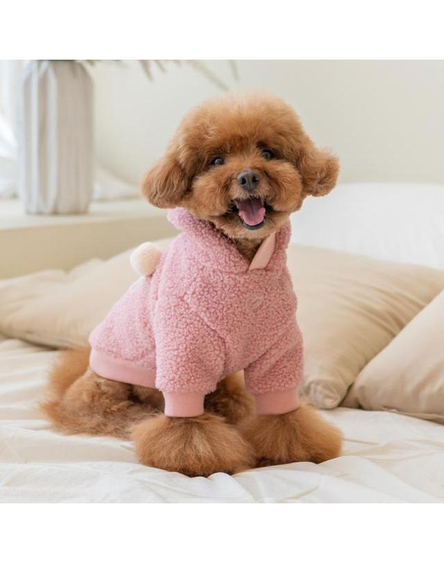 핑카홀릭 지네브라 후드 착용컷