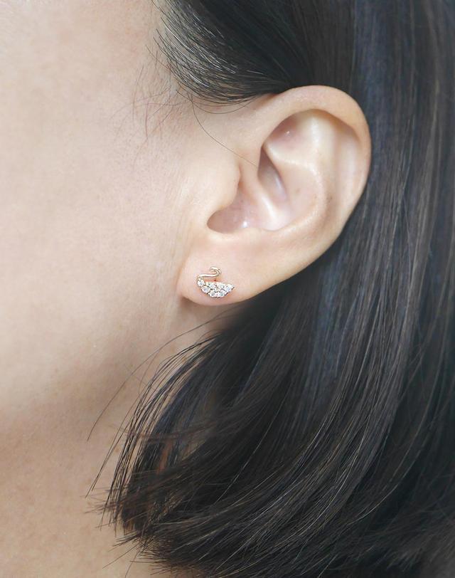 하리쥬얼리 14K 블랙 스완 백조 피어싱 착용컷
