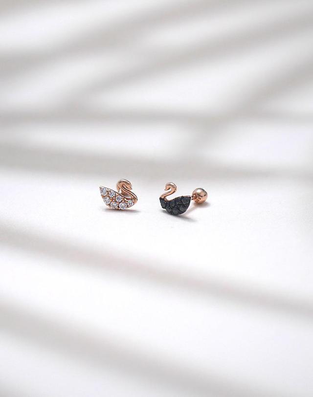 하리쥬얼리 18K 블랙 스완 백조 피어싱 착용컷
