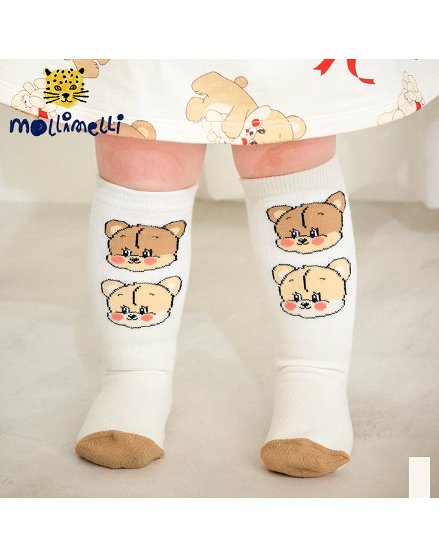 몰리멜리 베어베어뽀짝반타이즈 착용컷