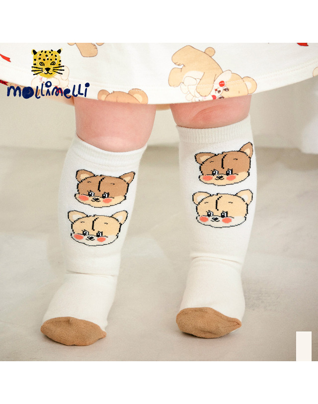 몰리멜리 베어베어뽀짝반타이즈 착용컷