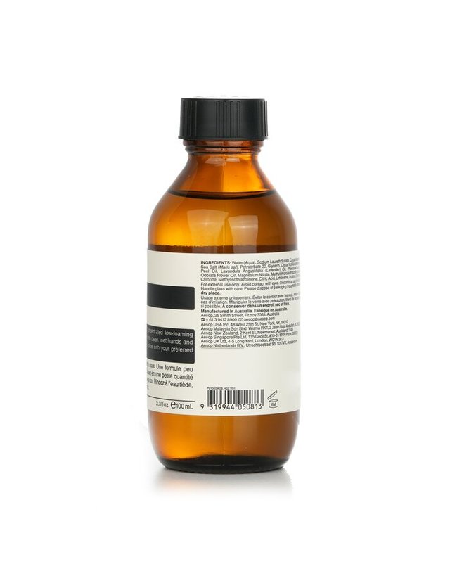 이솝 이솝 클렌저 어메이징 페이스 클렌저 100ml 착용컷