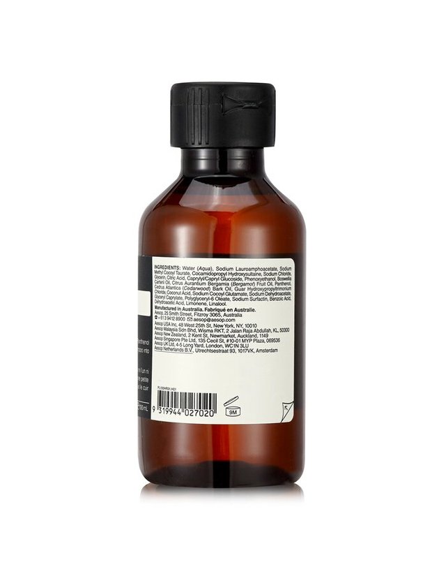 이솝 이솝 샴푸모든 헤어타입용 100ml 착용컷