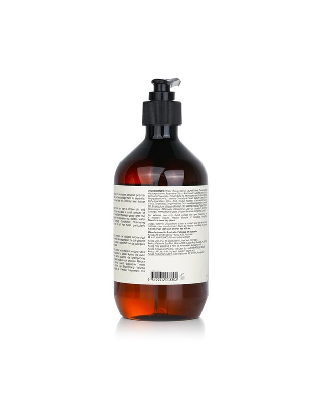 이솝 이솝 헤어 케어 볼류마이징 샴푸 500ml 착용컷