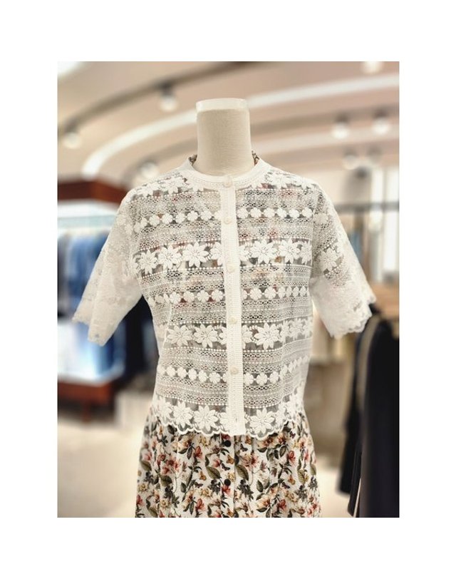 비씨비지 BCBG [갤러리아] [26S/M] 레이스 가디건 (B6M5K227) 착용컷