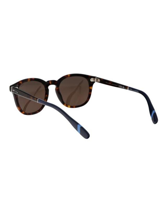 폴로 랄프로렌 [해외직구] 25SS 폴로 랄프로렌 선글라스 0PH4206 500373 SHINY DARK HAVANA 착용컷