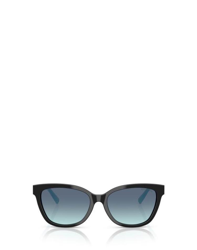 [해외] 25FW 티파니앤코 선글라스 TF4237B 80019S BLACK