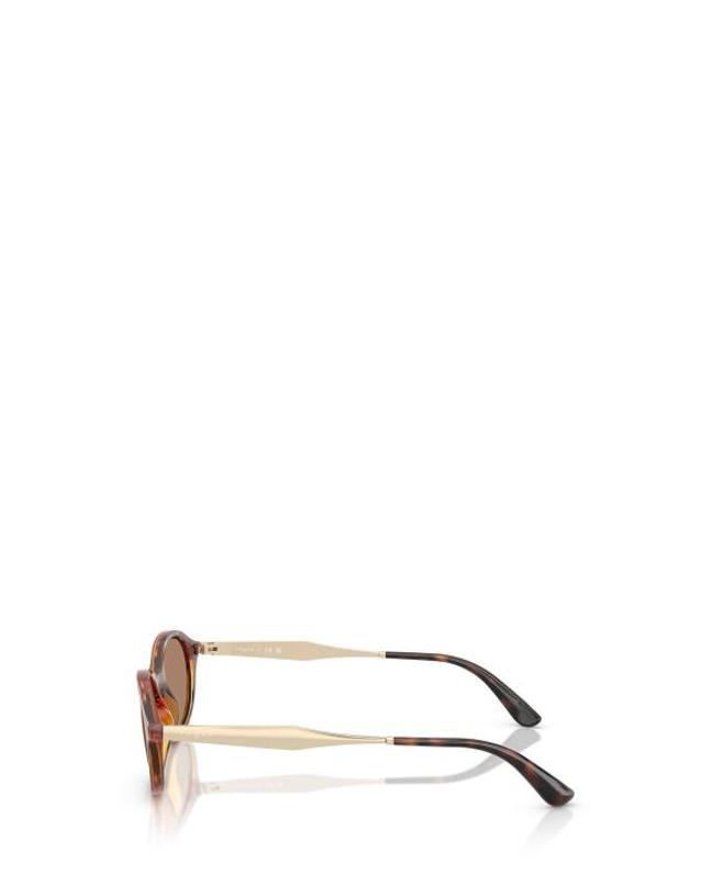 보그 아이웨어 [해외직구] 26FW 보그 선글라스 VO5625S W65673 DARK HAVANA 착용컷