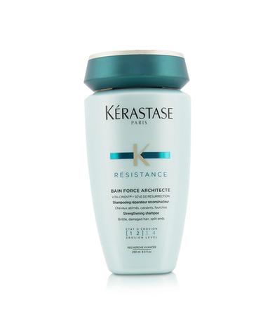 케라스타즈 레지스탕스 샴푸 잘 부러지고 .상된 모발용 250ml