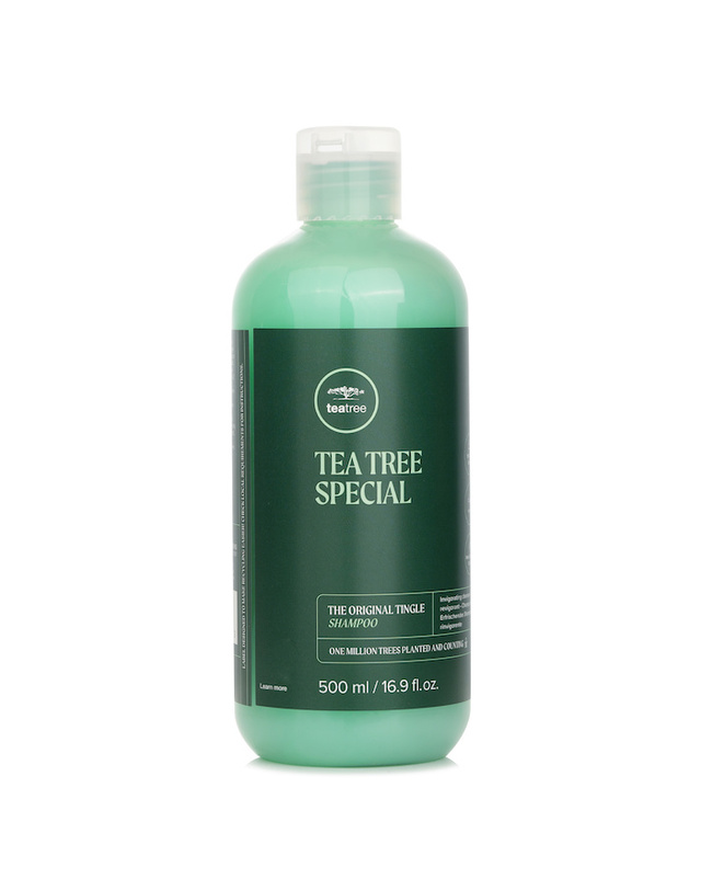 폴 미첼 폴 미첼 티 트리 스페셜 샴푸 500ml 착용컷