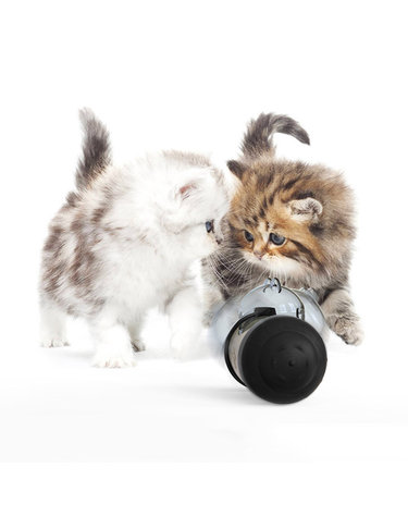 반려동물 오뚝이 노즈워크볼 고양이 강아지간식볼
