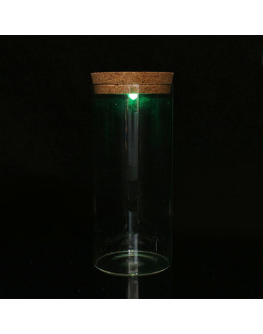 마리모 키우기 LED 유리병 수경식물키우기