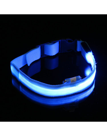 LED 애견 강아지 목줄(L) (블루) 야광 밤산책목줄