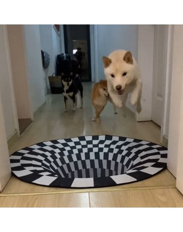 싱크홀 3D 입체 착시매트 80cm 반려동물낚시 놀이매트