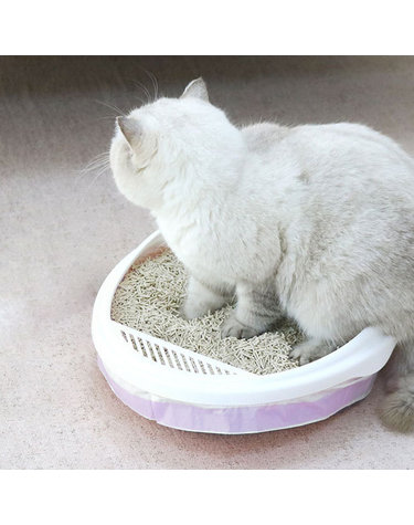 고양이 화장실 봉투 3롤 세트 고양이배변용품
