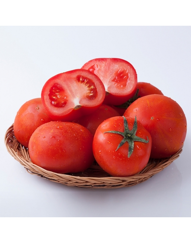 비투비월드 [자연예서] 완숙 토마토 2.5kg (2번) 착용컷